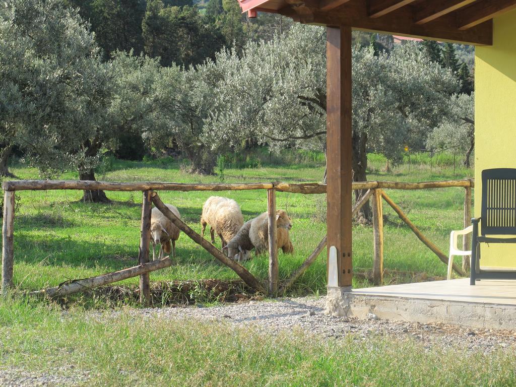 Holiday Home Stella Di Sicilia Acquedolci Bagian luar foto